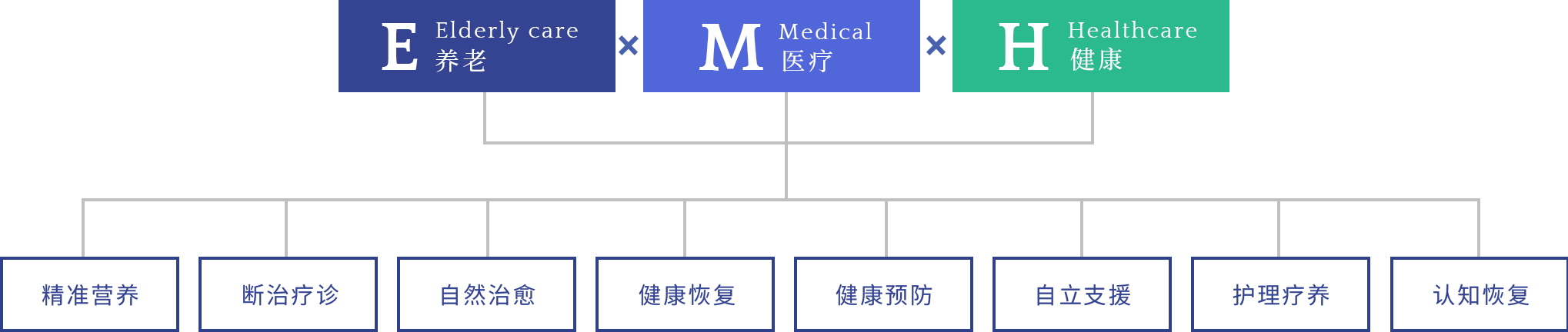 照护，医疗和健康的解决方案