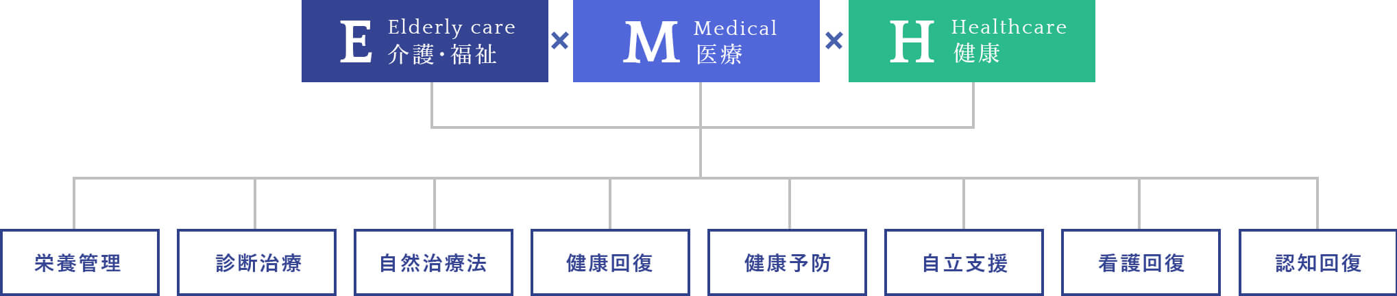 福祉介護、医療、健康を組み合わせたEMHから生まれるサービス提案